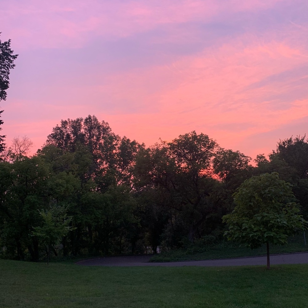 Meet your Posher, Milly